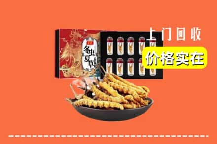 天水市张家川回收冬虫夏草